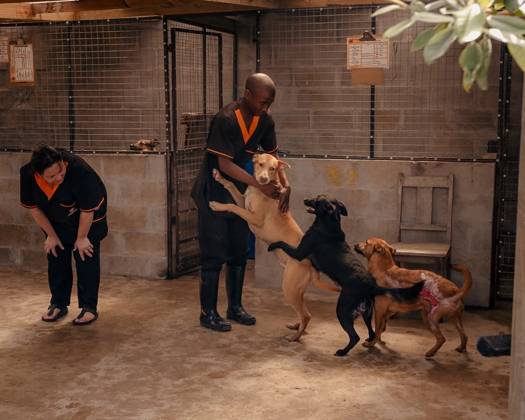 Mdzananda Clinic charity image