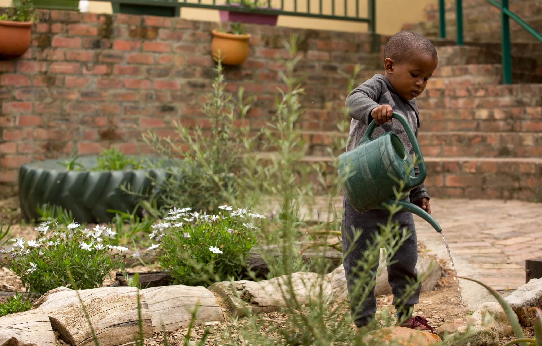 Sustainability Institute charity image